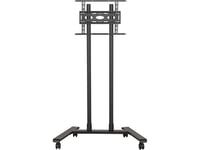 B-Tech Bt8504, 70 Kg, 190,5 Cm (75"), 600 X 400 Mm