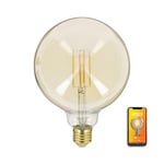 KOZII Ampoule LED connectée Filament E27 G125 Transparent - Ampoule Connectee Douille Variation De Luminosité - Alexa Et Google Home - LED 470 Lm - KRFDE470B125ACCT