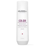 Goldwell Dualsenses Color Shampoo 250ml