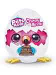 Zuru Pets Alive Chirpy Birds S1 Assorted