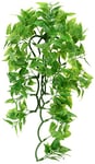 Zoo Med Mexicain Phyllo Plante en Plastique pour Terrarium Taille M