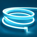 Lamomo Neon Ruban Led 5m, 12V Bleu Glacier Bande Led, Flexible Étanche Découpable Silicone Bandeau Lumineuse Led pour Intérieur Décoration, Chambre, DIY Sign (Adaptateur électrique non inclus)