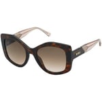 Lunettes de soleil Nina Ricci  SNR317 Lunettes de soleil, Havana/Marron, 53 mm