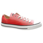 CT AS Ox Shoe - Daybreak Pink/Breaklight White 151266C