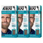 Just For Men Barbe & Moustache, teinte semi-permanente, look naturel, sans ammoniaque, avec aloe vera. M25 - marron clair 3 packs