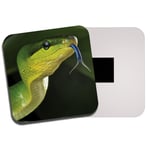 Awesome Green Snake Fridge Magnet - Reptile Snakes Jungle Tropical Gift #8313