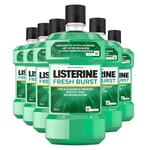 Listerine Freshburst Antibacterial Mouthwash 500ml - Pack of 6