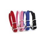 Record - Lot de 4 Colliers élastiques pour Chats - équipés de Petite Cloche - Fermeture à Boucle - Taille S - Épaisseur 1 cm - Longueur 31 cm - Couleurs Assorties