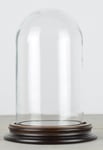 Vintage Look Small Glass Dome With Wooden Base Height 17 cm