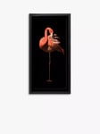 Flamingo II Framed Print & Mount, 101 x 51cm, Black/Pink