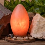 Rock Salt Table Lamp 100% Natural Himalayan Crystal Egg Shaped Light Wooden Base