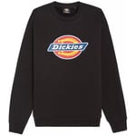 Sweat-shirt Dickies  ICON LOGO SWEATSHIRT