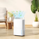 20L/Day Air Dehumidifier with 5.5L Water Tank, for Home Damp, Laundry Drying