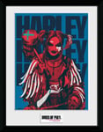 Birds of Prey Harley Quinn Framed Poster Free UK P&P