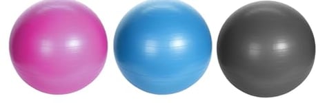 Self Import Agencies BALLE DE GYM - DIA 55CM - 3 ASS CLR BLEU NOIR ROSE 700 GR