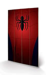 Pyramid International Ultimate Spider-Man Torso Wood Print, Multi-Colour, 45 x 76 x 1.3 cm