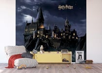 AG Design Harry Potter Non-Woven Photo Wallpaper 300 x 270 cm ADTD4P 7804-412