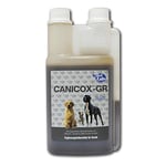 NutriLabs Canicox®-GR Complément Alimentaire pour Chiens âgés 500 ML – Complément Alimentaire pour Chiens âgés avec MSM, chondroïtine, glucosamine, Ginseng, etc. – Produits de santé pour Chiens