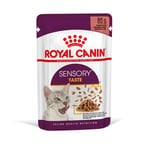 Royal Canin Sensory Taste i saus - 12 x 85 g