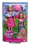 Mattel Barbie Stacie & Barbie Pack Of 2