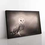 Big Box Art Light Upon The Barn Owl Canvas Wall Art Print Ready to Hang Picture, 76 x 50 cm (30 x 20 Inch), Beige, Brown, Black, Grey