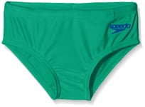 Speedo Boy's Essential Logo Essential Logo Brief, Amparo Blue/Lawn, 30 (152 CM) (11-12 year's)