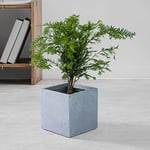 Kante Élégant Pot de Fleurs carré en béton Fait à la Main pour intérieur et extérieur, Gris Clair, 25,4 x 25,4 x 25,4 cm