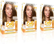 Garnier Belle Color Brown Hair Dye Permanent Natural Looking Hair Colour Up To 1