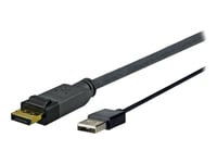 Vivolink Pro - Skjermkabel - Displayport (Hann) Til Usb (Hann) - 1 M - Svart