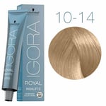 Schwarzkopf Igora Royal 10-14 Ultra Blond ash beige colour 1 tube new tint