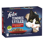 Felix Tendres Effilés en Gelée - Sélection de la Campagne - Lot de 6 - 12x85g