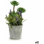 Ibergarden - Plante décorative Fleurs Campagne Liège Plastique 10 x 25 x 10 cm (12 Unités)