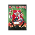 Drapeau Iron Maiden - 10 years - ref dr1iron6