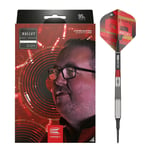 Target Darts Stephen Bunting Gen 5 95% Tungsten Soft Tip Darts - 18g