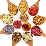 12 Types Dried Flowers Natural Dried Flower Real Dried Flower for DIY Bath Soap Making Candle Making, Rose, Lavender, Jasmine, Osmanthus Fragrans, Lemon, Chrysanthemum and more, 10 g Per Bag