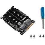 Tlily - Adaptateur M.2 ssd Vers U.2 2In1 NVMe et SATA-Bus ngff pci-e SFF-8639 Convertisseur PCIe M2, Sans Coque