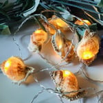 2023 Ny uppgraderad 10 LED Conch String Lights för Hawaii fest bröllop jul dekoration（A1，Som visas）