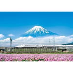 500 piece jigsaw puzzle Astragalus flowers and Mt. Fuji (Shizuoka) Compact p FS