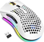 Souris De Jeu Sans Fil, Souris D'Ordinateur Avec Plaque En Nid D'Abeille, 7 Boutons Programmés, 3 Dpi Réglables, Récepteur Usb, Souris De Jeu Portable Ergonomique Rgb Pour Pc (Dual Mode-White)