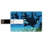 16G USB Flash Drives Credit Card Shape Whale Memory Stick Bank Card Style Pod of Killer Whales Swim Along a Reef Looking For Fish Prey Ocean Picture Print,Sky Blue Green Waterproof Pen Thumb Lovely Ju