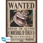 Abysse One Piece - Wanted Blackbeard Poster Chibi (52x38cm) (gbydco267)