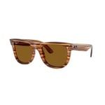 Ray-Ban Wayfarer Reverse - RBR0502S 679183 5022