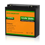 ECO-WORTHY Batterie lithium 12V 20 AH LiFePO4 avec Protection BMS et max. 15 000 cycles, 256Wh batterie pour bateau, camping-car，pêche，RV