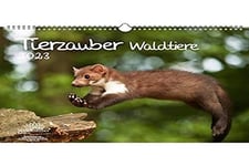 Calendrier 2023 Magie d'animaux de la forêt - Format A3 - Pour animaux dans l...
