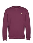 Crew Neck Sweatshirt Purple Lyle & Scott