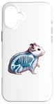 iPhone 16 Plus X-ray Hamster Body Anatomy Radiography Skeleton Case