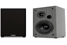 Wiibo | String 10 haut-parleurs HiFi - pour un son avec présence, profondeur et nuances - 100 W Speakers Couple - Mesures: 22,5 x 18,5 x 30 cm