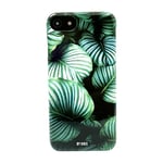 By Kris iPhone SE (2022)/SE (2020)/8/7 deksel Calathea orbifolia