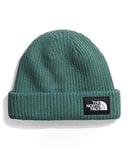 THE NORTH FACE Salty Dog Beanie Hat Dark Sage One Size