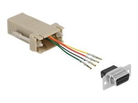 Delock Assembly Kit - Seriell Adapter - Db-9 (Hona) Skruvbar Till Rj-11/Rj-14 (Hona) - Individually Assignable Serial Interface - Grå